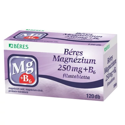 BERES MAGNEZIUM 250 MG+B6 FILMTABL. 120X