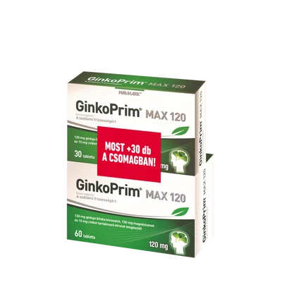 GINKGO PLUS 120MG FILMTABLETTA 60X INNOPHARM