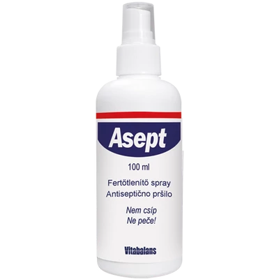 ASEPT SPRAY 100ML